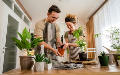 How To Elevate Your Space